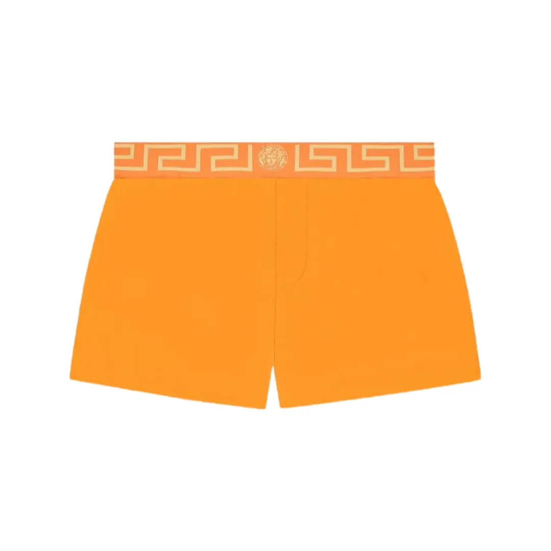 Greca swim shorts