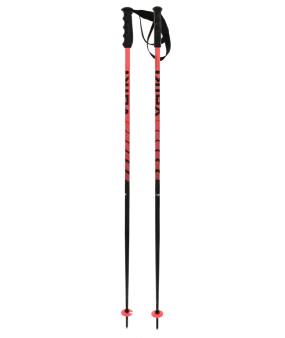 Volkl Speedstick Ski Poles 2024